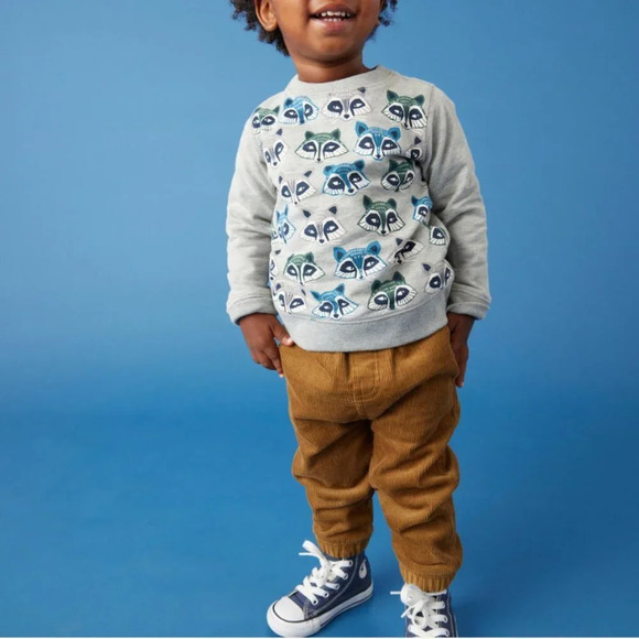 NWT Tea Raccoon Sweatshirt Size 3-6 Months - Picture 1 of 2